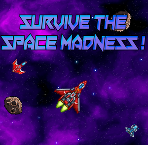 play Survival Space Madness