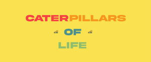 play Caterpillars Of Life