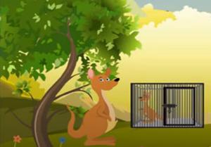 play Baby Kangaroo Rescue From Cage