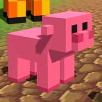 play Zoocraft