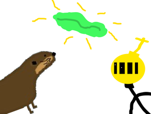 play Kelp
