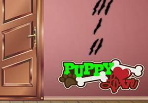 play Find The Pet Dog Cruise