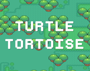 play Turtle Tortoise