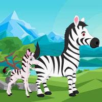 play Aid The Stranded Zebra Foal