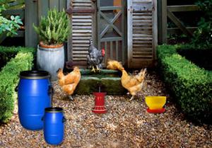 play Poultry Farm Easter Escape