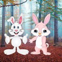 play Discover Rabbit Companion