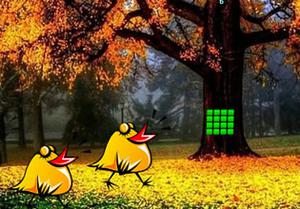 play Discover Rabbit Companion