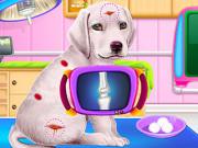 play Labrador Puppy Daycare Salon