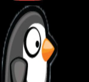 play Super Penguin
