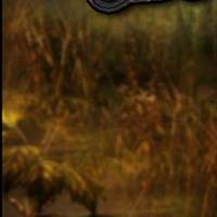 play Feg-Escape-Games--Look-Beyond-1-