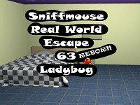 play Real World Escape 63 Ladybug Reborn