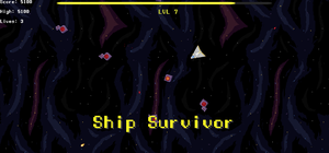 play Ship Survivor
