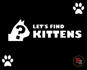 play Let'S Find Kittens