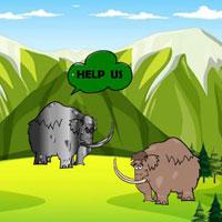 play Preserve Girlfriend Of Elephant