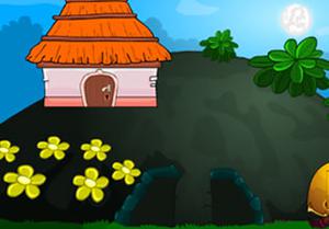 play Bird Rescue Mission