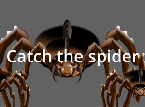 play Catch The Spider