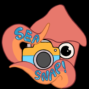 play Sea Snap