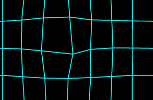 play Spiderweb Simulation