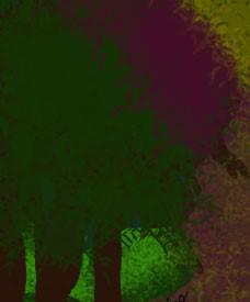play The Forest