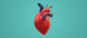 play Heart Simulator