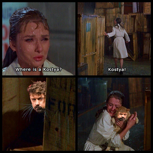 play Where Is A Cat Kostya