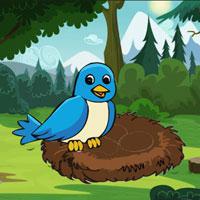 play Assist To Mother Bird