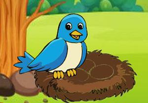 play Assist To Mother Bird
