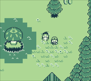 play Quaggy'S Adventure