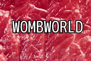 play Womb World