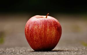 play Apple Picker
