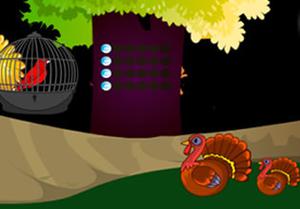 play Red Bird Relief Escape