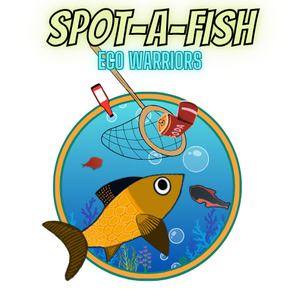 play Spot-A-Fish