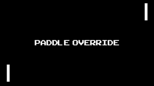 play Paddle Override