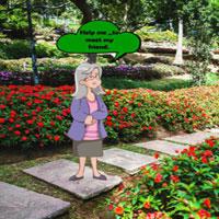 play Grandma Meet The Friend