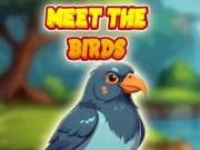 play Meet The Birds