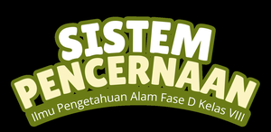 play Sistem Pencernaan