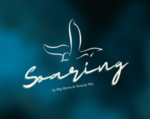 play Soaring