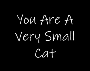 play You Are A Very Small Cat