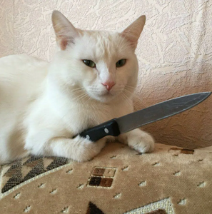 play Kill Kill Kill