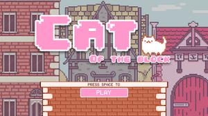 play Cat Of The Block