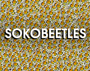 play Sokobeetles
