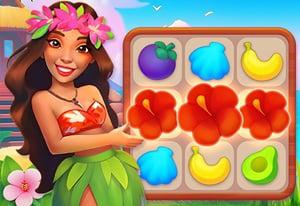 play Hawaii Match 5