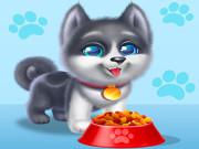 play Lovely Dog Daycare