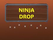 play Ninja Drop