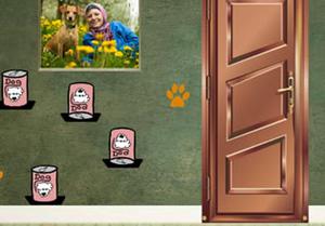 play Find The Pet Dog With Boy Lewis