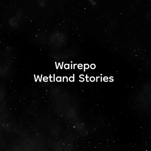 play Wairepo Wetland Stories