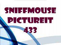 play Pictureit 433