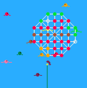 play Bird Board