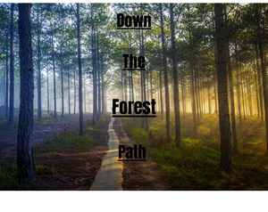 play Down The Forest Path