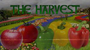 play The Harvest